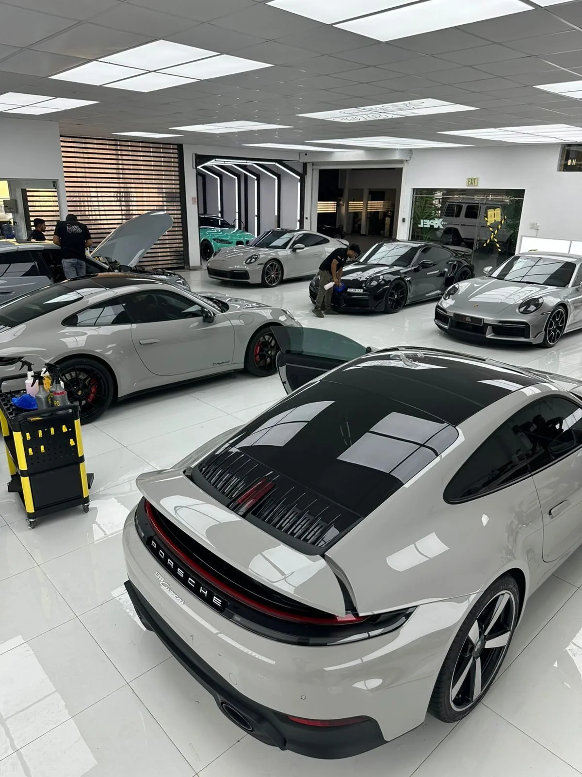 Studio lineup