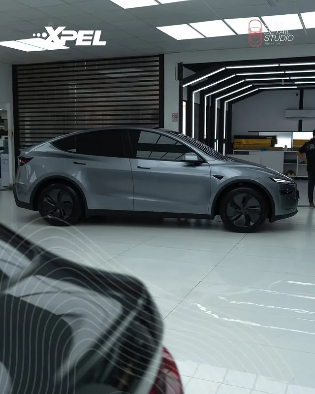 Tesla Protection Package