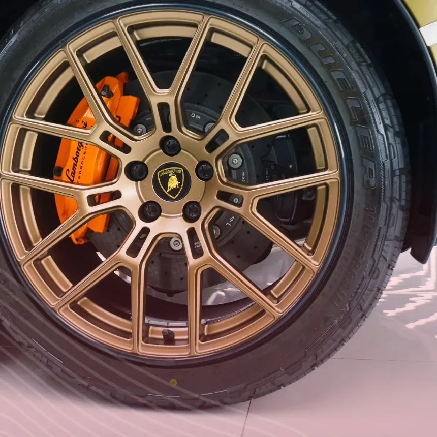 AlloyGator Rim Protection at Apex Detail Studio
