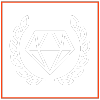 Apex Detail Studio vehicle protection icon